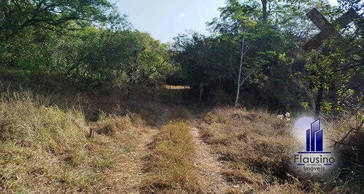 SÍTIO SEIS HECTARES EM TRÊS CORAÇÕES MG (3)