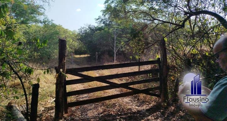 SÍTIO SEIS HECTARES EM TRÊS CORAÇÕES MG (4)
